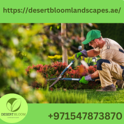 Landscaping Services