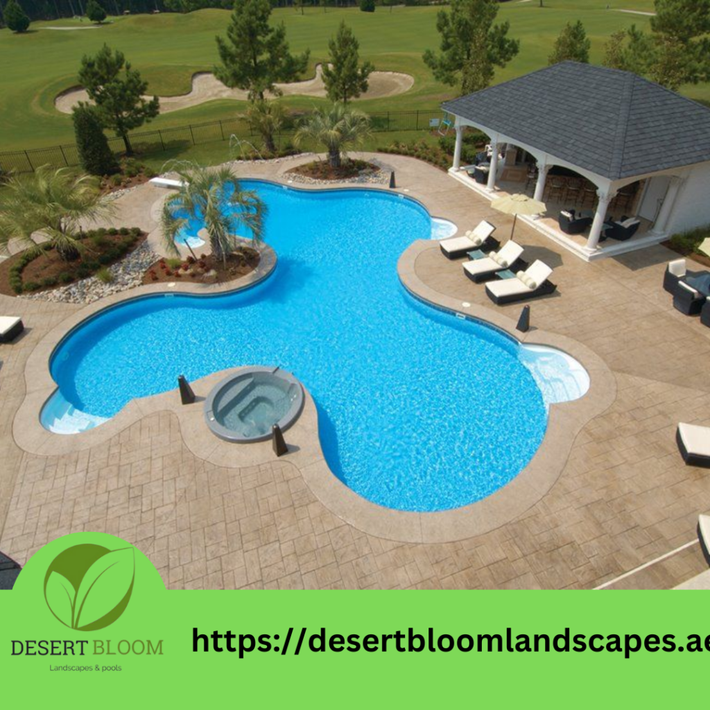 Swimming Pool construction