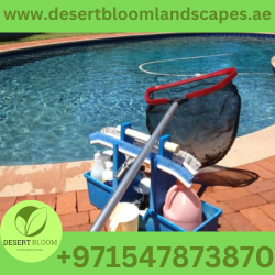 Pool Maintenance