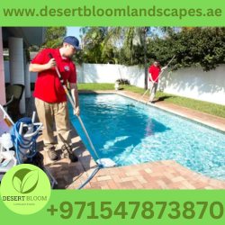 Pool Cleaning Services