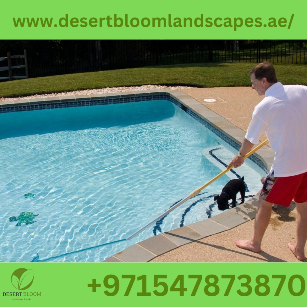Swimming Pool Builder