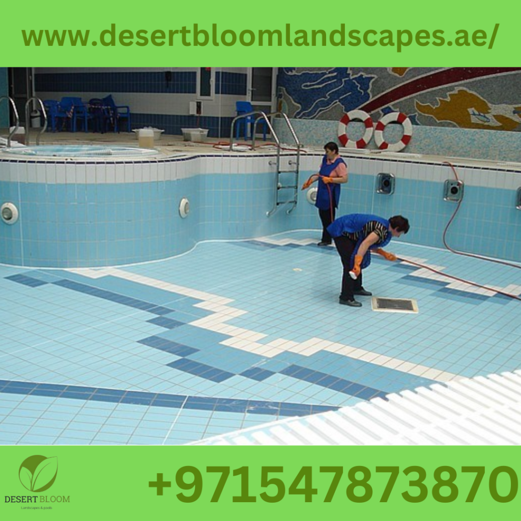 Pool Cleaning Services