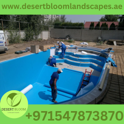Swimming Pool Builder