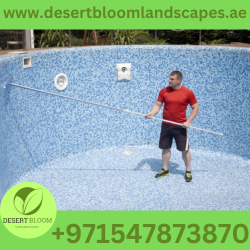 Swimming Pool Cleaning