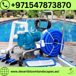 Swimming Pool Maintenance