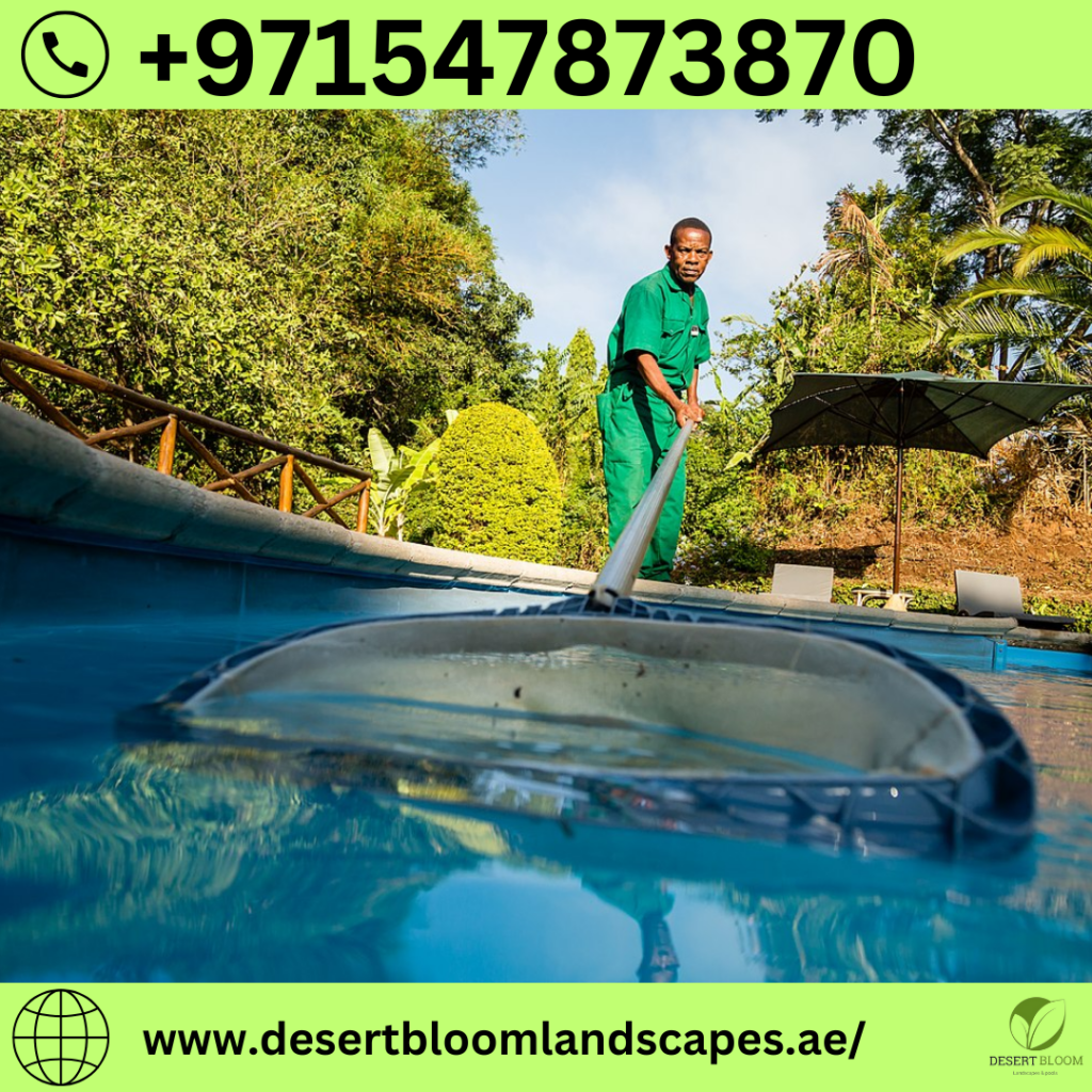 Swimming Pool Maintenance