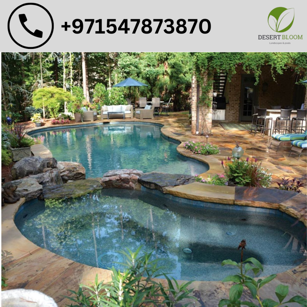 Pool Designer and Contractor