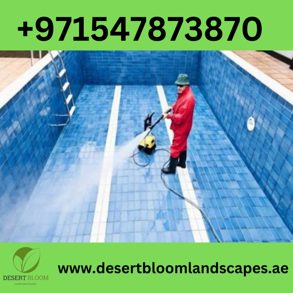 Swimming Pool Cleaning