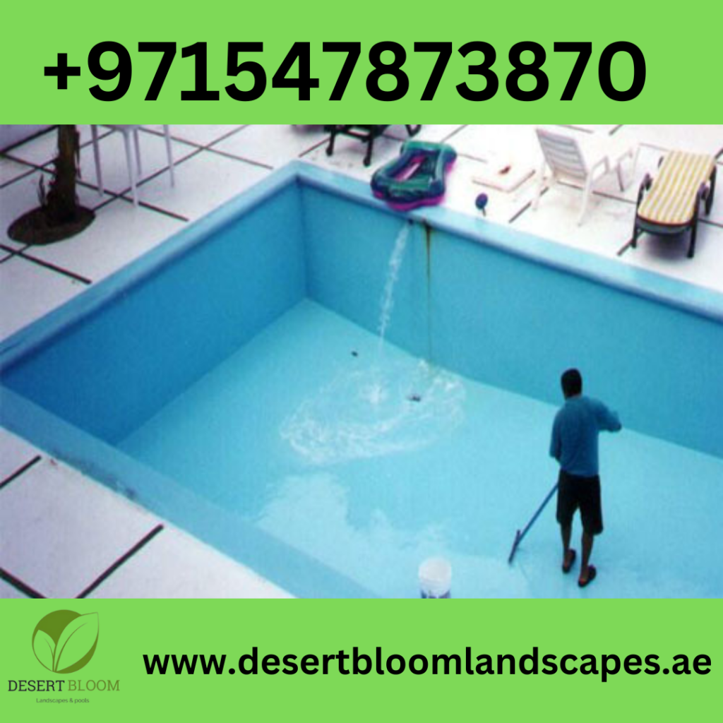 Swimming Pool Cleaning