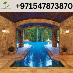 Luxury Swimming Pool Contractor