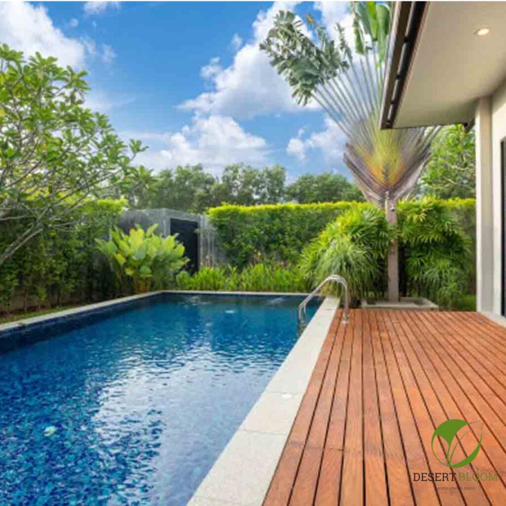 Luxury Swimming Pool Contractor