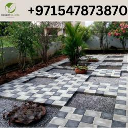 Interlock supplier