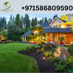 Top Landscaping Company