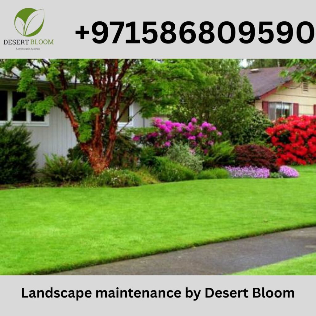 Landscape Maintenance Company