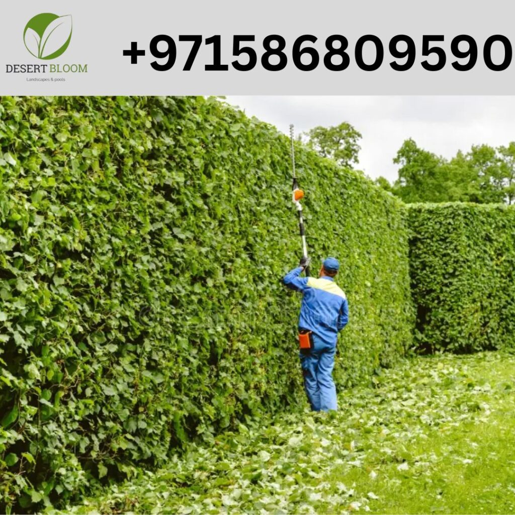 Landscape Maintenance