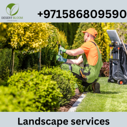 Landscaping Services