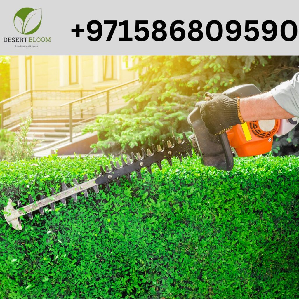 Landscape Maintenance