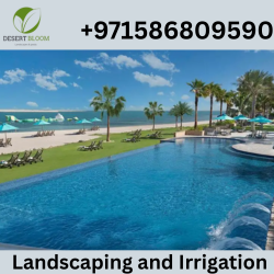 Pool Design and Construction