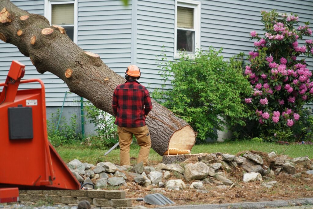 tree cutting services in Dubai