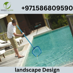 Luxurious Pool Cleaning