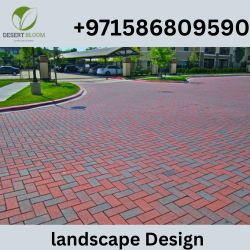 Cheap Interlock Tiles Installation