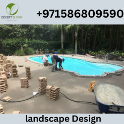 Swimming Pool Resurfacing