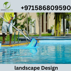 Swimming Pool Cleaning Services