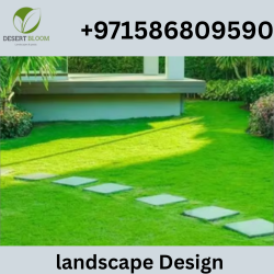 Best Villa Landscaping
