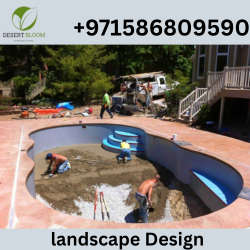 Best Pool Contractor