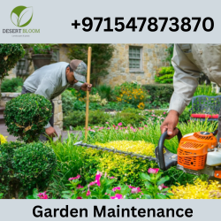 Plant Maintenance Services