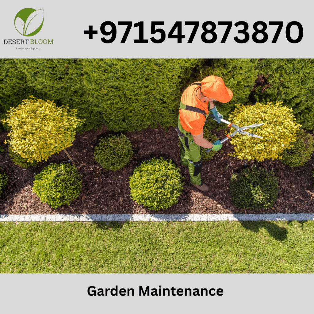 Plant Maintenance Services