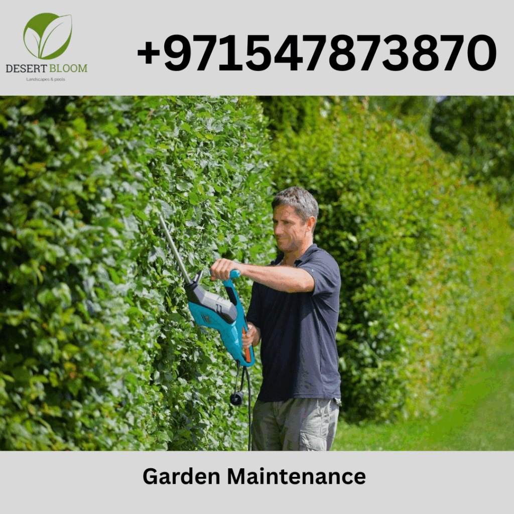 Plant Maintenance Services