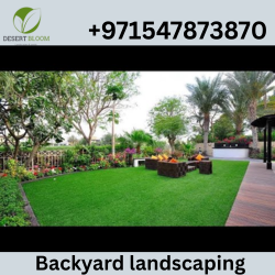 Backyard Landscaping
